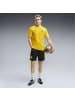 Puma BVB Borussia Dortmund Training Trikot der Saison 26-27 in Gelb