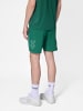 Hummel Hummel Shorts Hmlcourt Paddeltennis Herren in RAIN FOREST