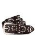 Nietengürtel Leder dark brown