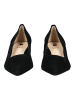 Högl Pumps in Schwarz/Schwarz
