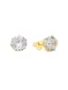 Amor Ohrstecker Gold 375/9 ct in Gold