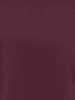 ONLY Top in Winetasting