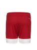 adidas Performance Trainingsshorts Tastigo 19 in rot / weiß