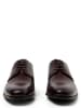 Roy Robson Schuhe in schwarz - 0001