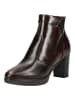 Nero Giardini Stiefelette in Dunkelbraun