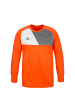 adidas Performance Torwarttrikot Assita 17 in orange / grau