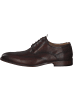 DIGEL Klassische- & Business Schuhe in Brown