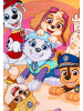 United Labels Paw Patrol - Strandtuch Badetuch Handtuch Baumwolle 140 x 70 cm in Mehrfarbig