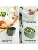 Rotho SALSA Bioabfalleimer Set 3,2 l und 6 l mit Deckel in Reseda green ged.