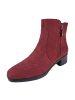 Hartjes Klassische Stiefeletten in Lila