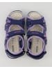 Geox Sandalen in Lila