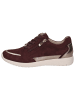 Caprice Halbschuh in BORDEAUX COMB