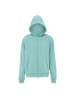 boundry Herren Kapuzenjacke in Eisminze