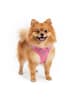 Reichstadt Reichstadt  Hundegeschirr  25RSP083 Pink S