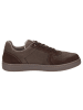 Sioux Sneaker Tertulio-700-H in dunkelbraun