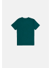 Alpha Industries T-Shirt 'Basic' in grün