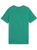 Puma T-Shirt "TeamGoal CasuaLongsleeve Tee Jr" in Grün