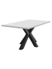 58 aufm Kessel ESSZIMMERTISCH Elda 2 200 x 100 x 75 Esstisch Schwarzstahl/Weiß Matt Lack