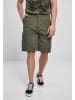 Brandit Brandit Shorts in olive