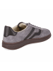 Gant Schnürhalbschuh in grey