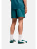 Puma Shorts 'ESS Tape Woven Shorts 5' in dunkelgrün