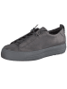 Paul Green Schnürschuh in grau