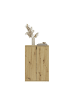 ebuy24 Kommode ProjektX Eiche 152 x 34 cm
