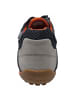 Geox sportlicher Schnürer Snake in Grau