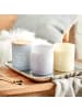 Butlers Duftkerze HOME & SOUL Velvet Dreams in Violett