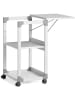 Durable Projektor/Beamer Tisch System Overhead/Beamer Trolley 508x882x432mm grau