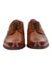 Clarks Businessschuhe in Tan