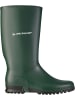 Dunlop Gummistiefel Sport in grün in grün
