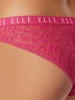 ELLE Brasilslip Lace in Lilac, royal blue, hot pink