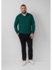 s.Oliver Strickpullover in 7953_tannengrün