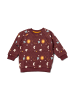 Little Green Radicals Bio-Steppsweatshirt in Braun