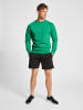 Hummel Sweatshirt Raglanärmel Hmlred Herren in JELLY BEAN