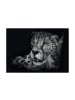 Schmidt Spiele Puzzle Ashley Rader, Speed, Gepard, Im Zeichen der Anmut, 1000 Teile