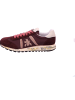 Premiata Schnürschuh in bordeaux