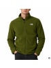 The North Face Glacier Fleece Jacket in Grün