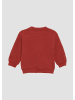 s.Oliver Sweatshirt  in  3840_rubinrot