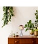 relaxdays Vase in Transparent - (H)21,5 x Ø10 cm