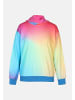 salzhaut Hoodie BANNING in Multicolor