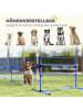 Pawhut Hunde Agility Set Blau Kunststoff