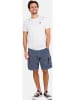 Reell Short "City Cargo Short" in Grau