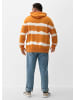 s.Oliver Sweatshirt in 22D1_bernstein