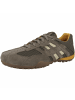 Geox Sneaker für Herren in taupe
