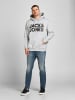 Jack & Jones Hoodie mit Logo Print JJECORP Kapuzen Pullover in Grau