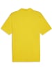 Puma Polo "TeamGoal Polo" in Gelb