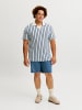 JACK & JONES PLUS Poloshirt in Sea Pearl 1