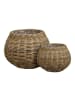 ebuy24 Korb Juna (2-teilig) Natur 57 x 57 cm